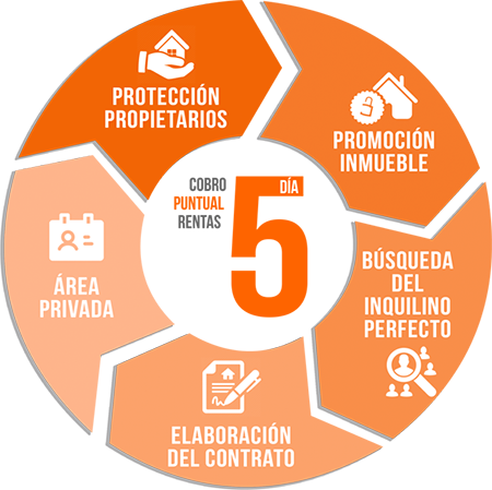 En #AlquilerSeguro Locales 🔓 encontramos el mejor negocio para tu local u oficina en #alquiler garantizándote el cobro puntual de la renta el día 5 de cada mes 👉 bit.ly/2s0CaqM