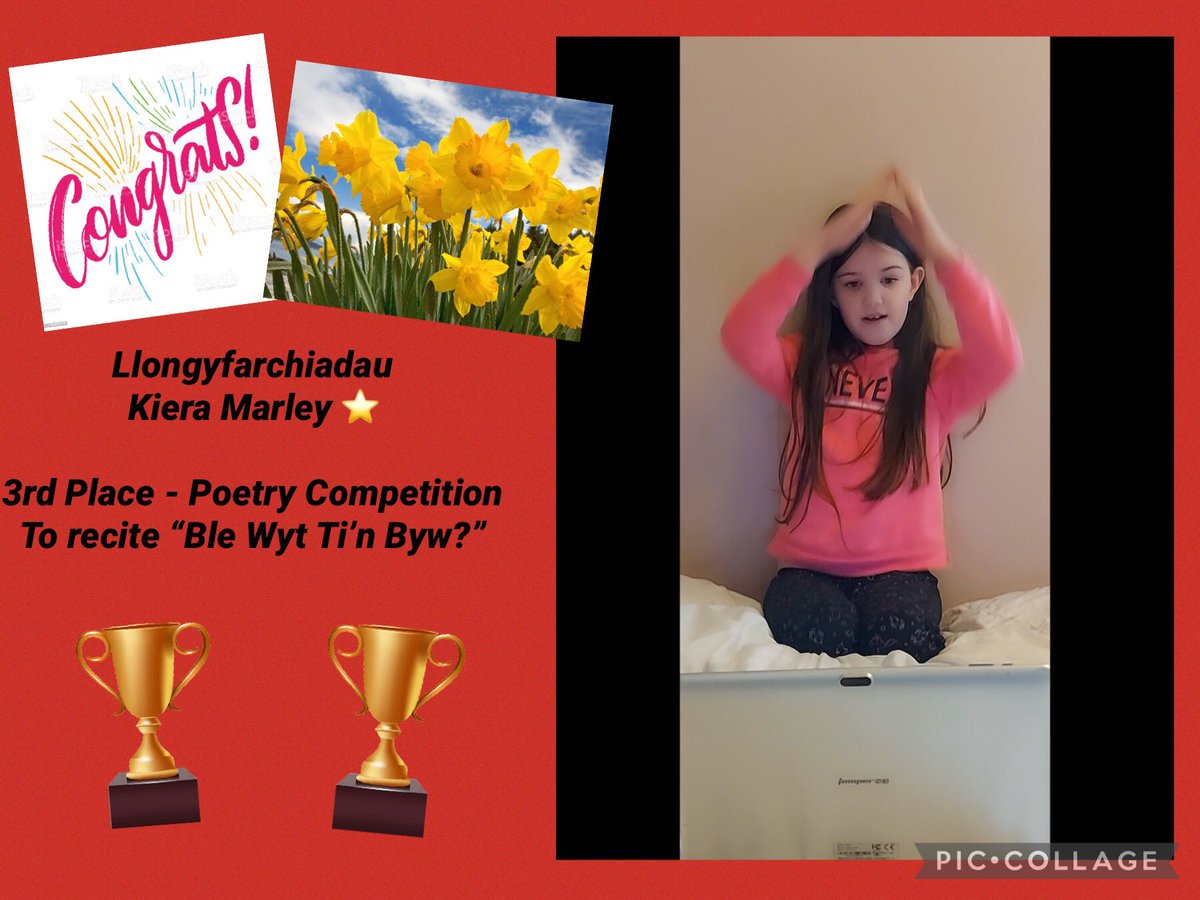 StDavidsCiWPrm's tweet photo. Llongyfarchiadau to the winners of Year 3’s Welsh Poetry Recital 🏴 The children had to learn and say the poem “Ble Wyt Ti’n Byw?” and they blew Miss Morgan away 🤩🤩
#stdavidsciwyr3 #stdavidsciwwelsh #StDavidsDay @CSC_Cymraeg @EisteddfodUrdd https://t.co/0TFCGmgec2