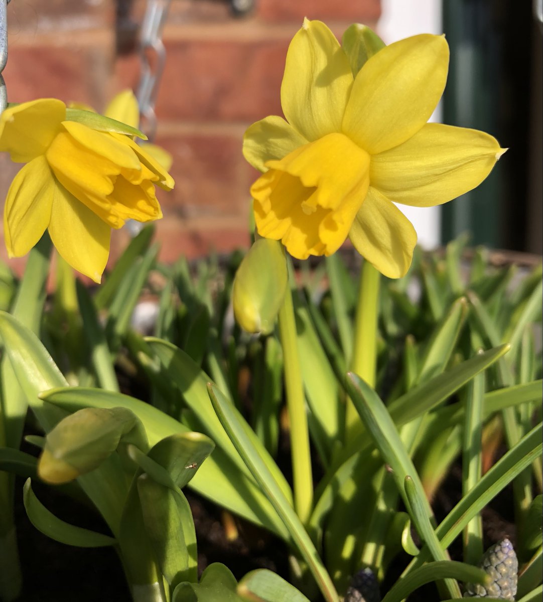 PPMLtd1's tweet photo. Thank you so much to Mary @FeatureCumbria for another fantastic photo challenge, our team at PPM have loved taking part.
It's been brilliant to see all the other entries for the #FebruaryPhotoChallenge, especially from the schools involved 📸 https://t.co/AFHcQ5LXTI