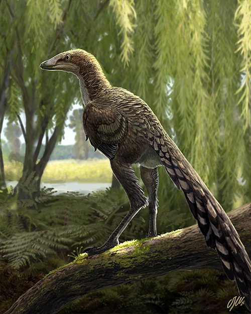 Personal investigador de l' <a href="/ICP_MCrusafont/">Institut Català de Paleontologia Miquel Crusafont</a> i el <a href="/MuseuConcaDella/">Museu Conca Dellà</a> descriuen la nova espècie de dinosaure carnívor Tamarro insperatus al Pallars Jussà. icp.cat/index.php/ca/s…