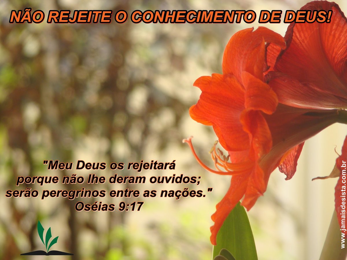 Quem rejeita o conselho do Senhor andará sem rumo.
#rpsp
#euoroas6hs
Bom dia
