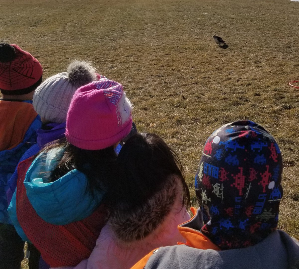 Day 2: I’ll post a picture from a day in the life of an educator. I’ll post without explanation. That is 7 days, 7 pictures. 
I was nominated by @Canoegirl16.  
I nominate <a href="/heron_sparrow/">Erin Farrow</a>