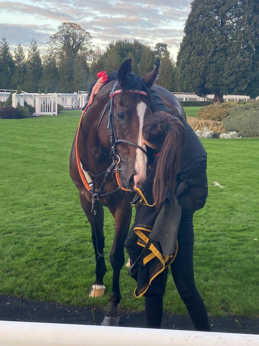 Deep seated affection. Love. Care. The bond between racehorses and the exceptional staff who look after them. As an industry, we are today sickened, sad and bruised. But we will not be tarred by one brush. Once allowed, it will be ‘Open House’ here to show the true tale #love