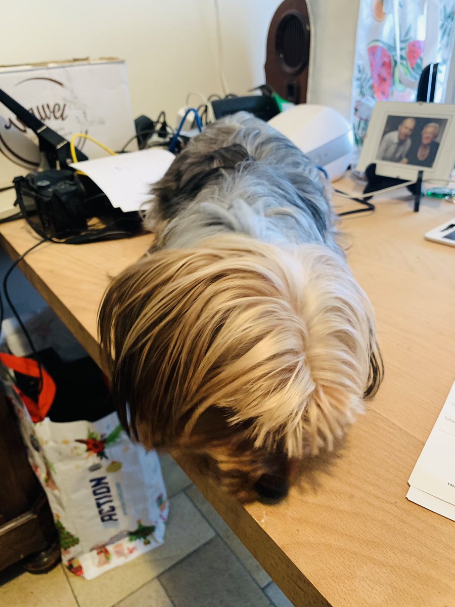 Mijn vriend roxane wordt vaste hulp op het bureau