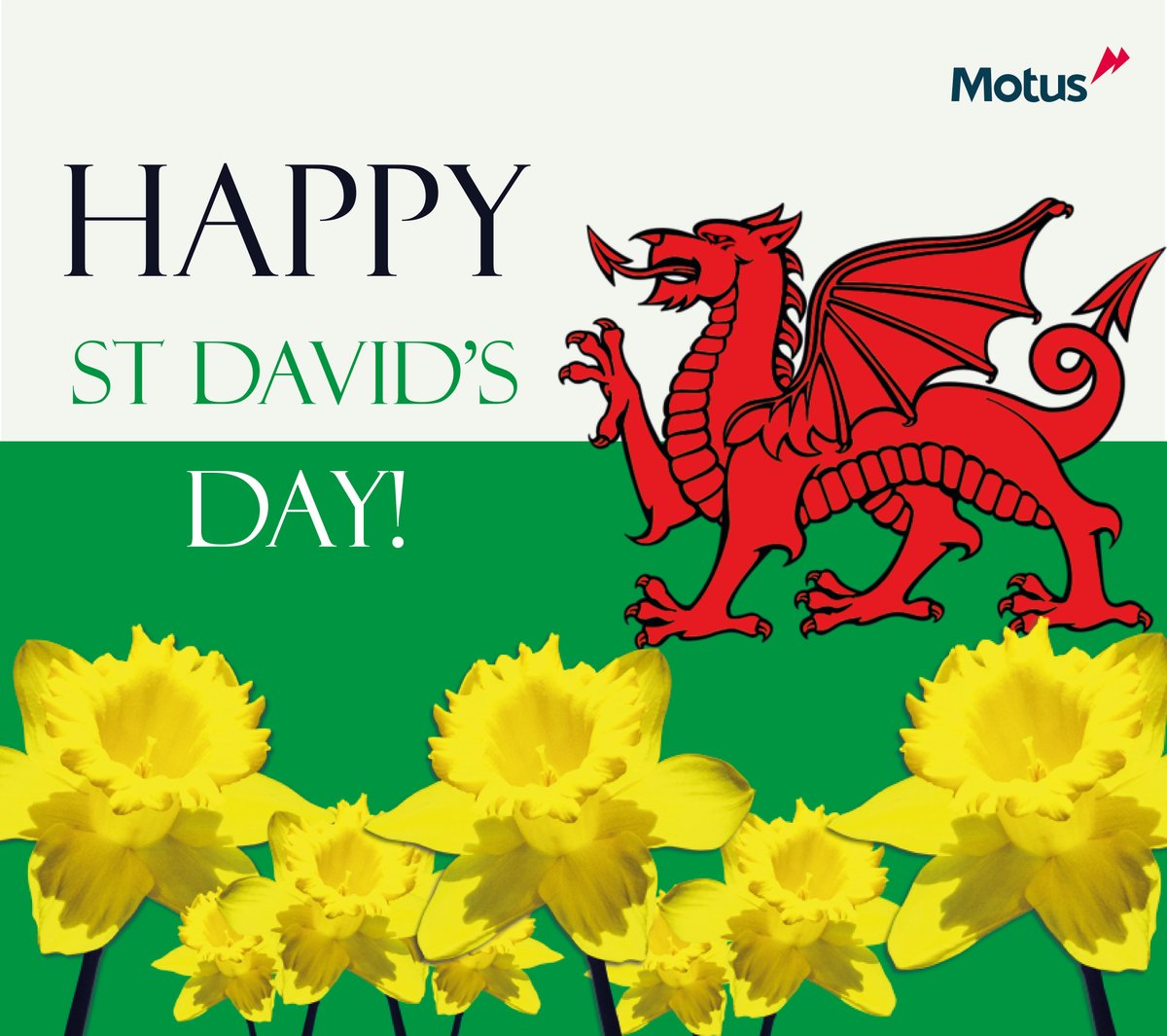 UkMotus's tweet photo. Happy St David's Day from Motus Uk! 
#StDavidsDay2021 https://t.co/9KtsTyvlco