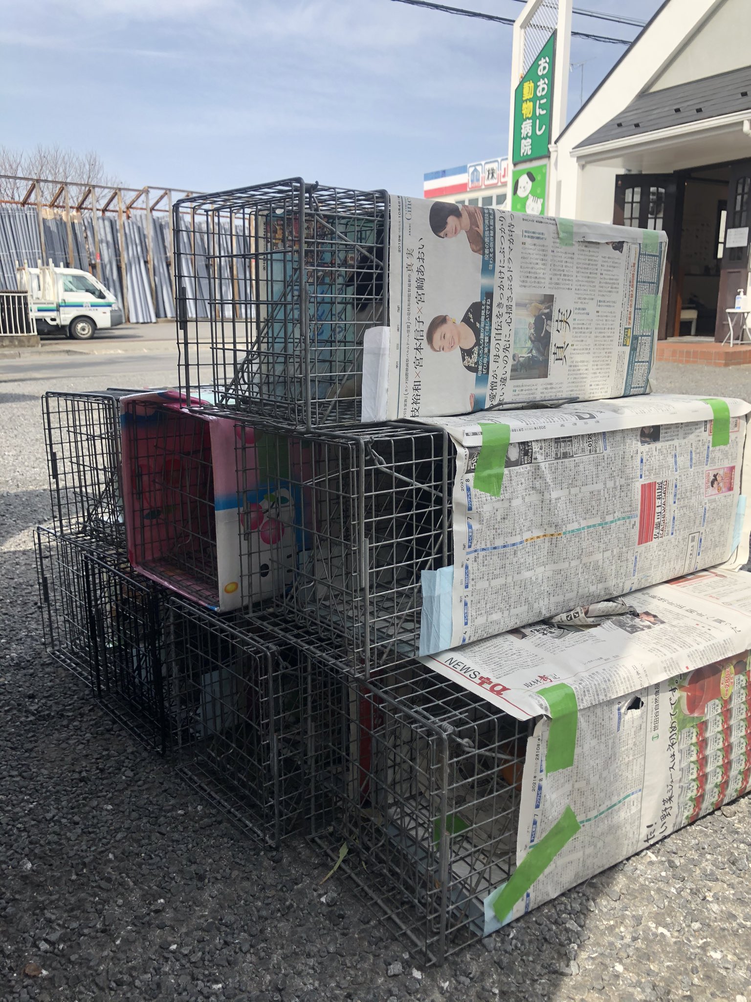 おおにし動物病院 Twitter Search Twitter