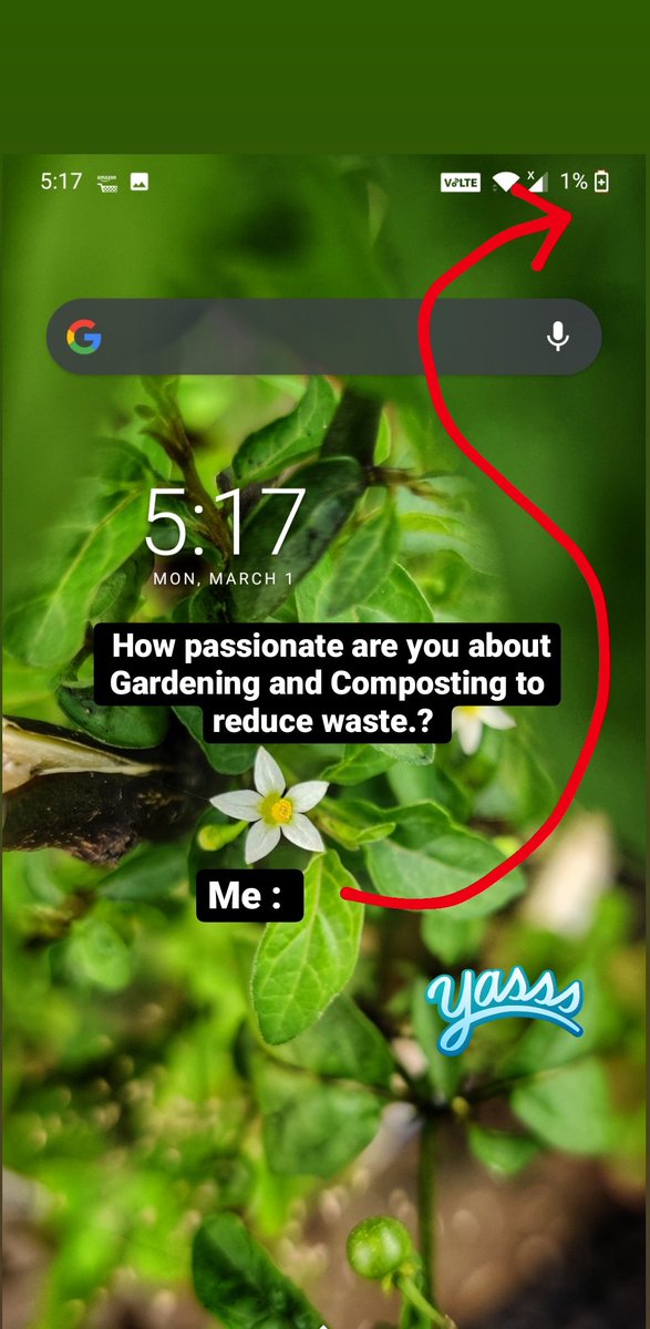 arvindia4u's tweet image. Answered bunch of Composting questions on my instagram #Sooperclicks to the beginners.

Check out the stories.
#CompostingIsCool