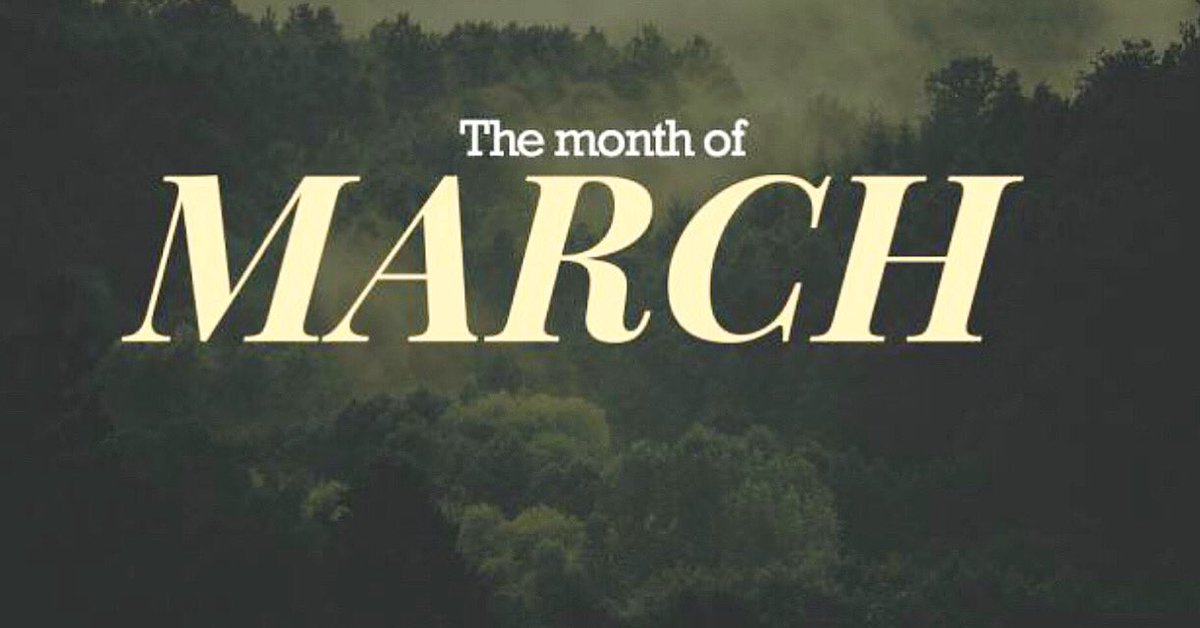 ActorGAV's tweet photo. NEW... For the month of March 2021, I am going to try blogging everyday, documenting how I feel and sharing those thoughts with you. (Hopefully 2 blogs per day) 📝
Utilizing the website https://t.co/nTgaVUuvW2 
From a Man’s Perspective. #mensjournal https://t.co/YIIOMvS0ZE
