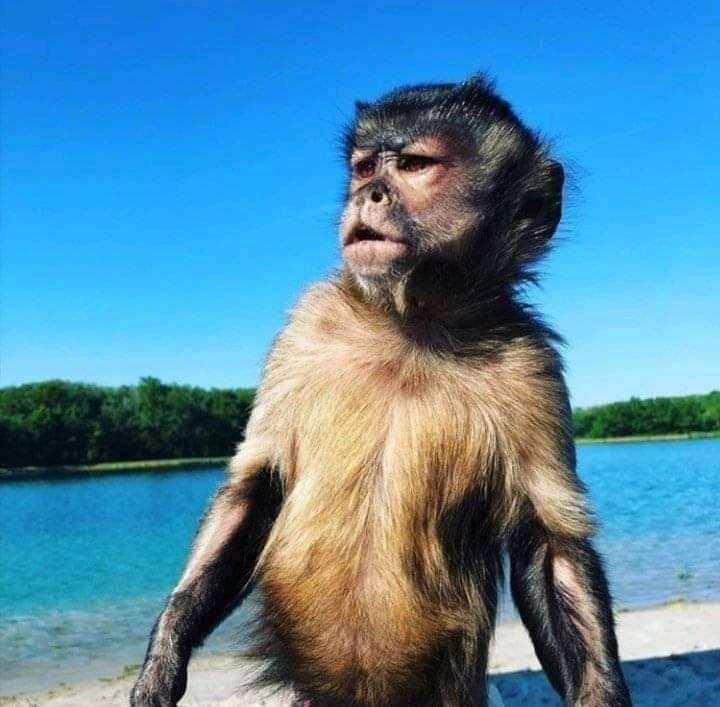 iamm_e_'s tweet image. 😂😂😂😂 etsee! You and who?! #khasa