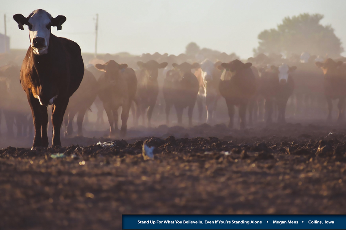 LandusAg's tweet photo. Congrats to Megan Mens, our March photo contest winner in our 2021 Landus calendar! #LandusWay https://t.co/PJLxFCAD88