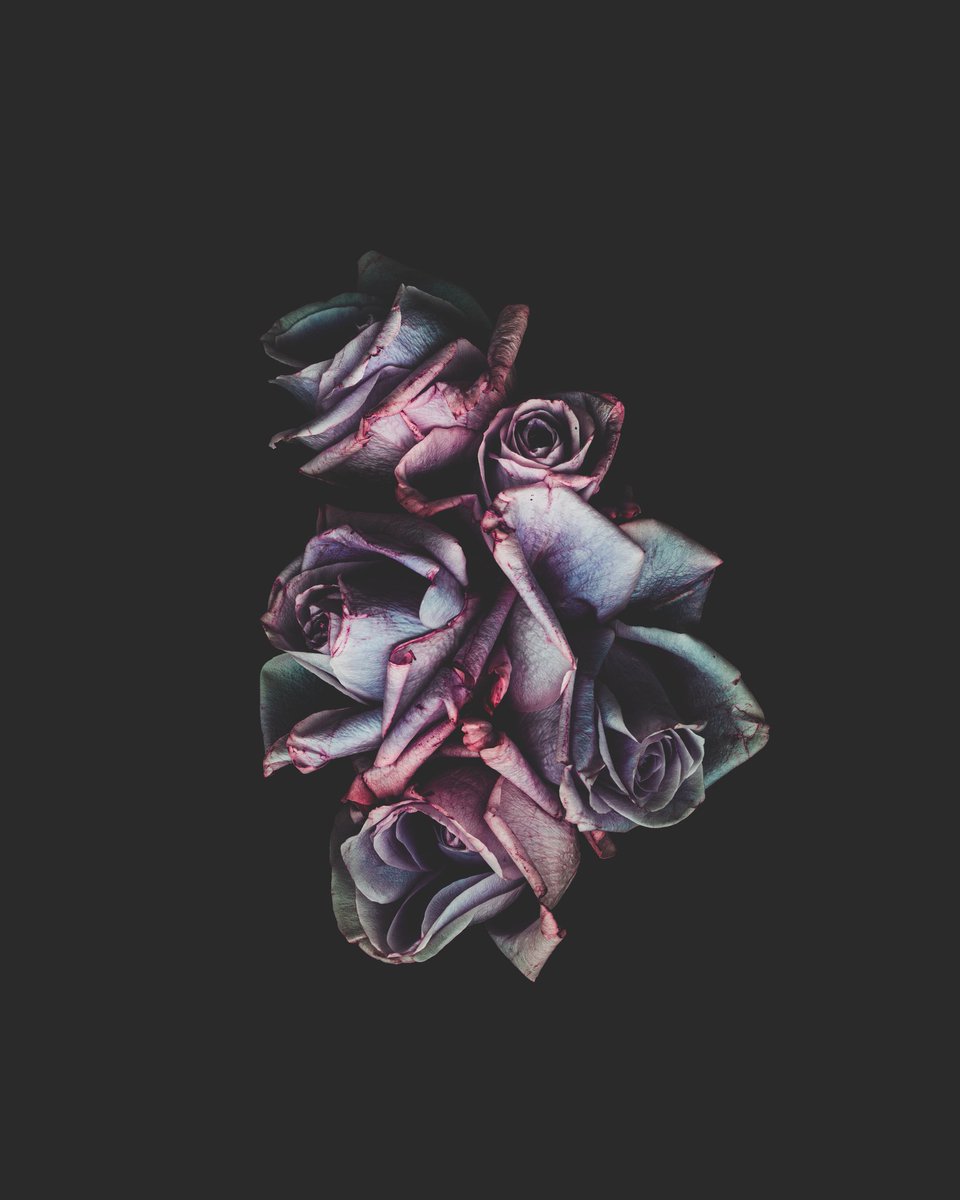 ChelleLuckette's tweet photo. #fineartphotography #photography #photooftheday https://t.co/u2KSrnY2zM
