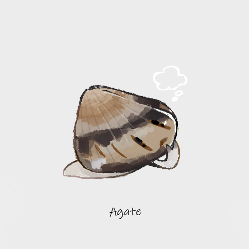 ハマグリのtwitterイラスト検索結果