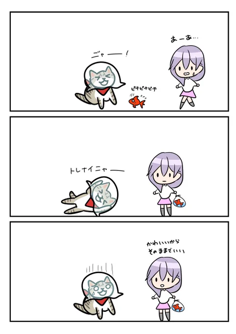 レアさん(トレナイニャ-) 