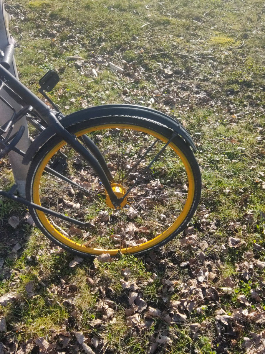 wijsgerig's tweet photo. #GetTheFckOutside
#FindYellow
Detour on my to my mom https://t.co/ZqTMkeoZep