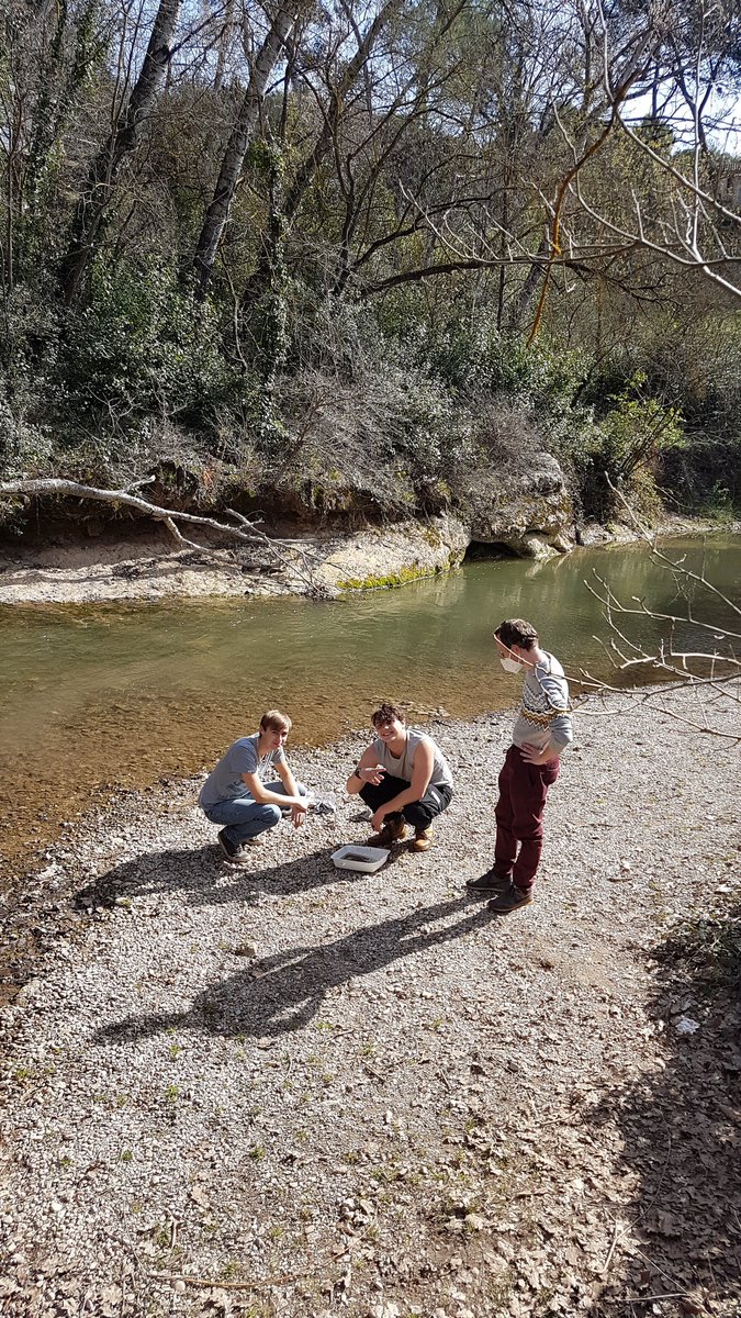 e4asso's tweet image. Initiation IBGN sur l'Arc avec les étudiants BGVN des Cours Diderot a Aix. #biodiversité #EEDD #nature #aixenprovence