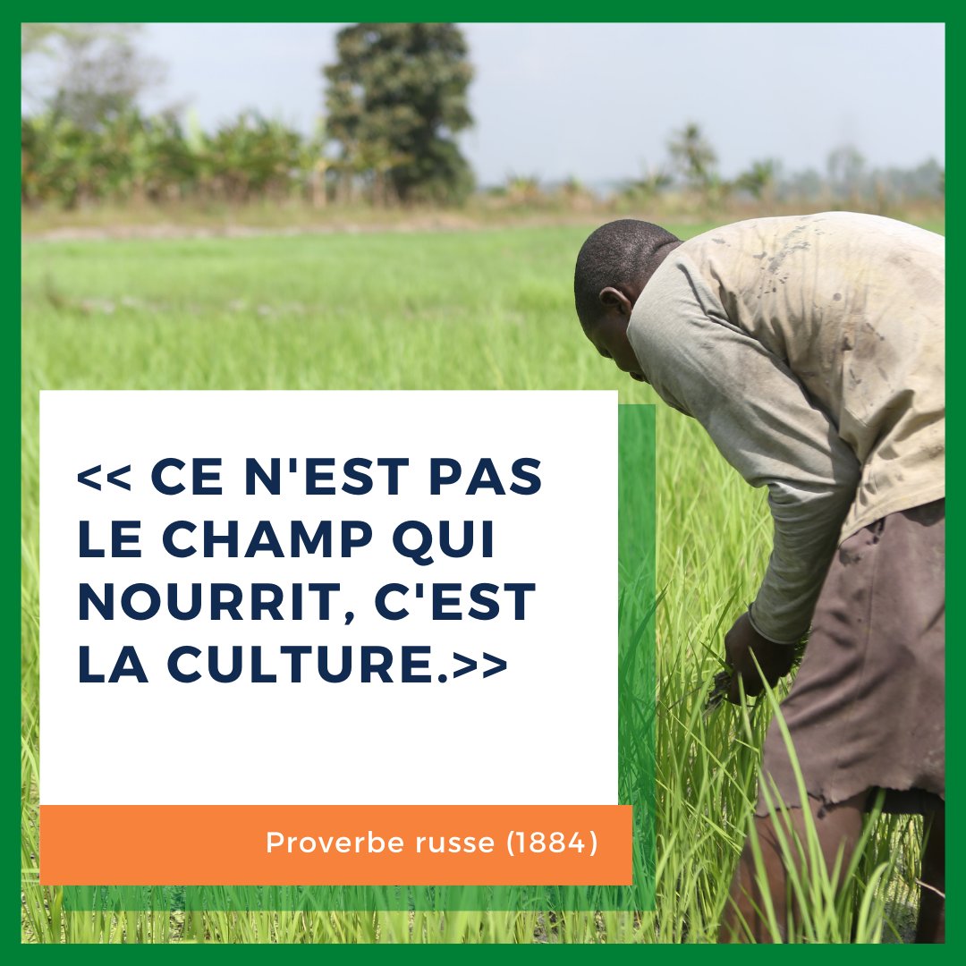 Festival du Riz de Côte d'Ivoire (@FestivalRiz) / Posts / X