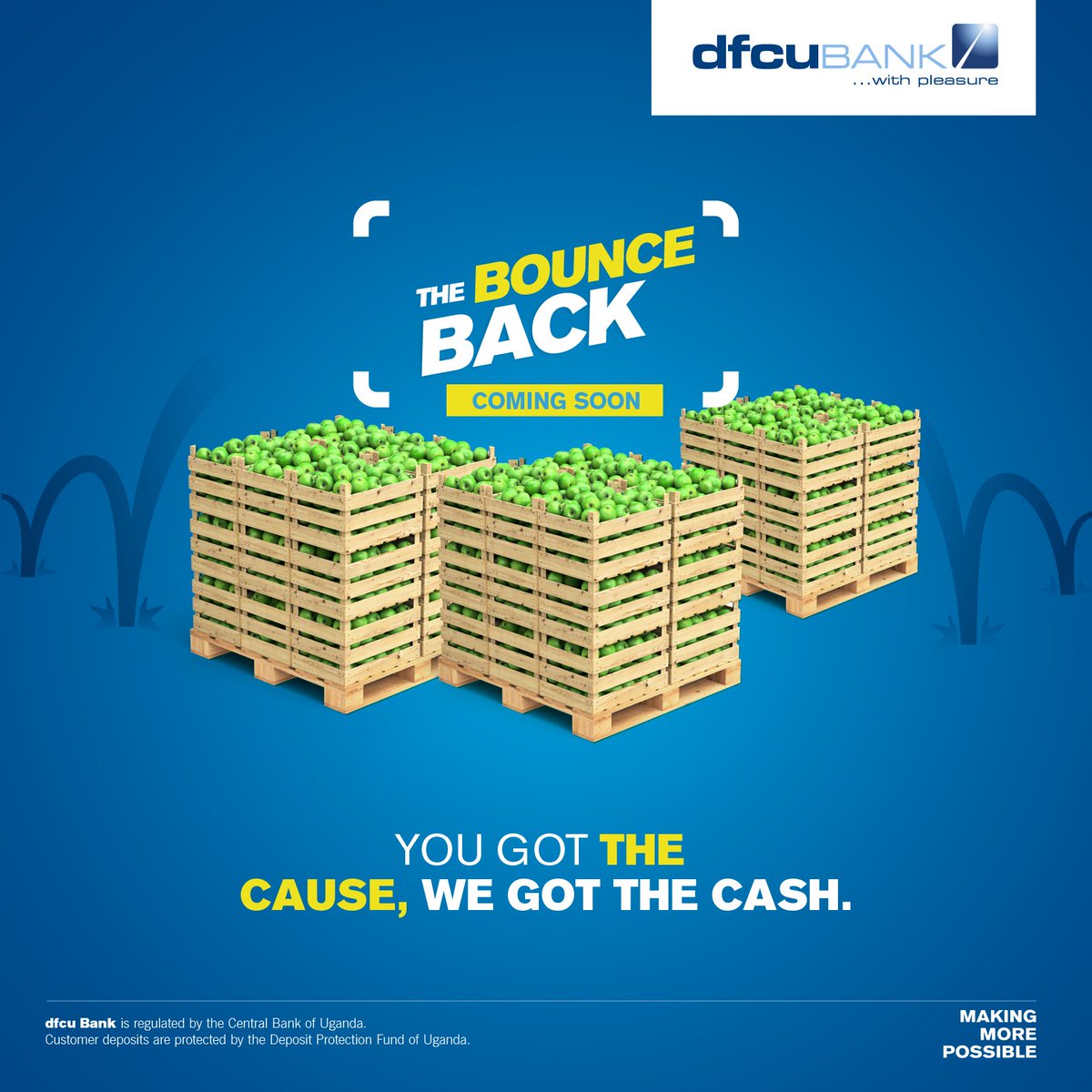 dfcu Bank tweet media