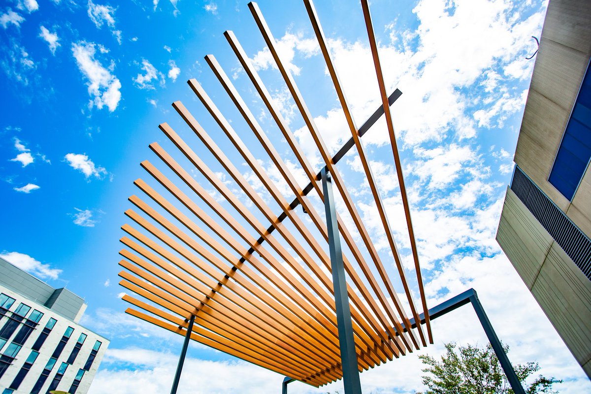 FutureComets's tweet image. We can’t get enough of our beautiful campus! #FutureComet #Transfer2UTD