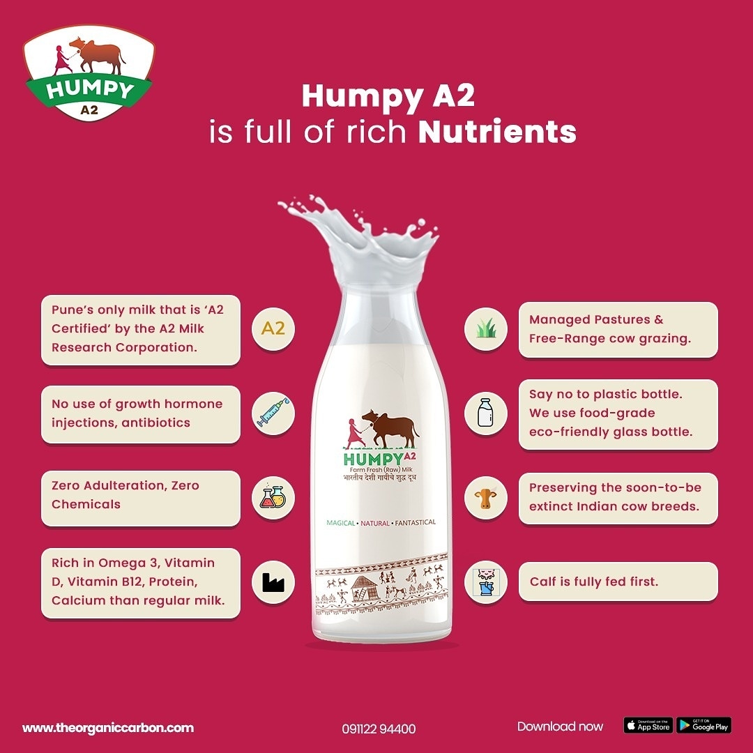 HumpyA2's tweet photo. Every bottle of Humpy Milk is made with the best cow. We take care of our cows in the most organic and nutritious manner. The ones feeding us deserve the best, that is what Humpy believes in. The perfect environment and the perfect nourishment for a perfect bottle of milk. https://t.co/iAUnUsk5ub