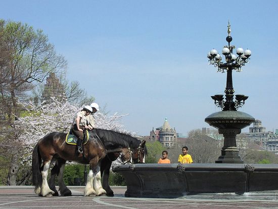 The FEI takes a look at the role of mounted police units and what it takes to do the job buff.ly/3q5zNQz #mountedpolice #policehorses #HorseHour #ponyhour #equineblogshare #horses #horselife #horselover