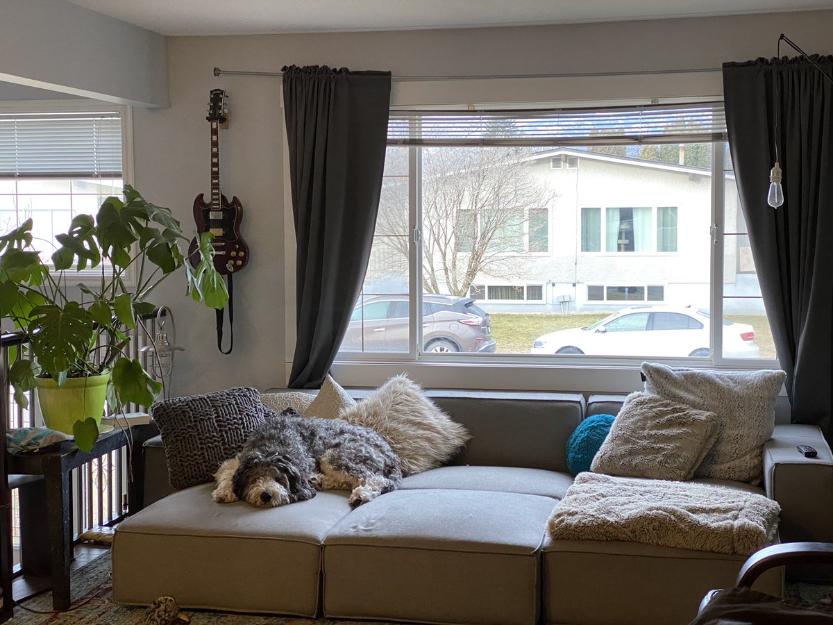 DeannaandNeil's tweet photo. “Where is Waldo” but fluffier. #whereishugo ? https://t.co/5UNVCBcwIa