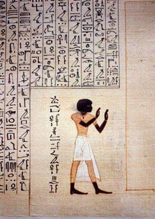 A Black Nubian who became an Egyptian Royalty as he proved loyal to king Thutmose IV, maiherpri who was buried in the valley of the kings.They did not portray him in Reddish brown, they did in BLACK.