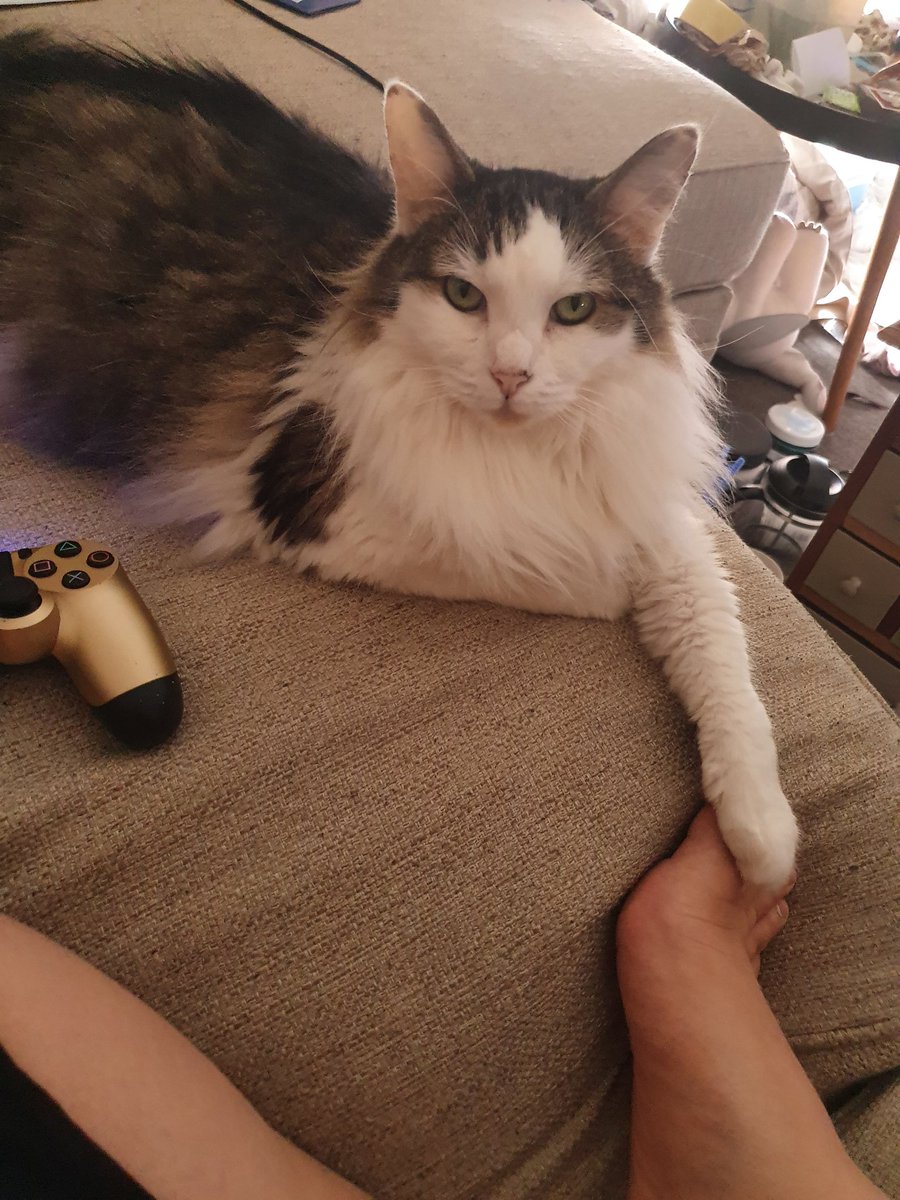 ReixKitty's tweet photo. Aqua loves you all
 You can do the thing! https://t.co/l5W312nKrF