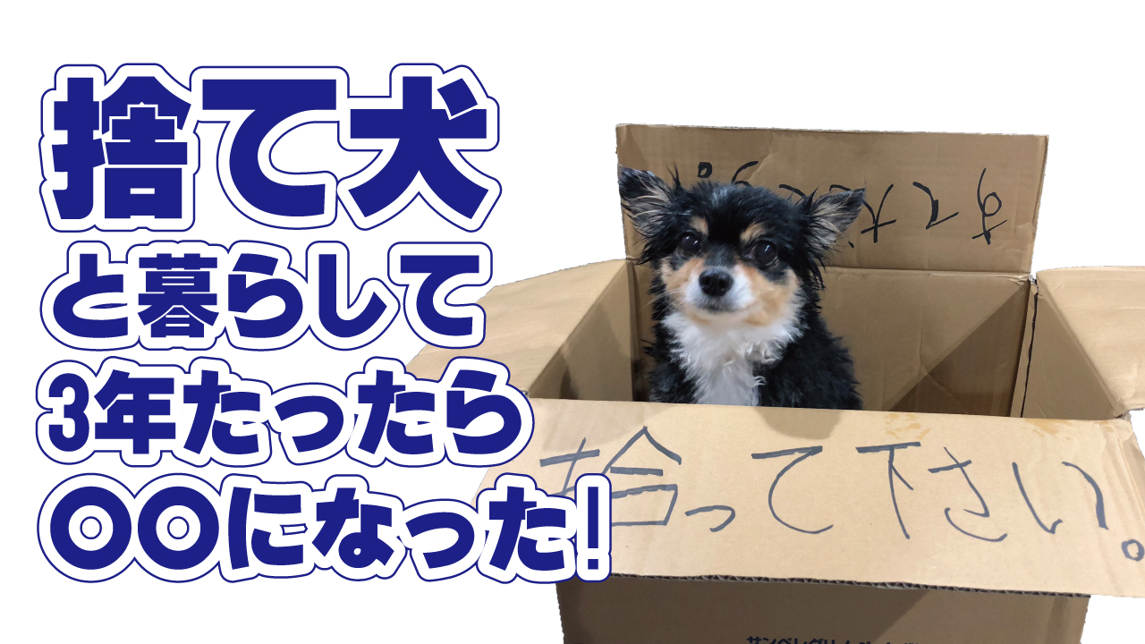 ワンピース 感動動画 Kniazeva7009 Twitter
