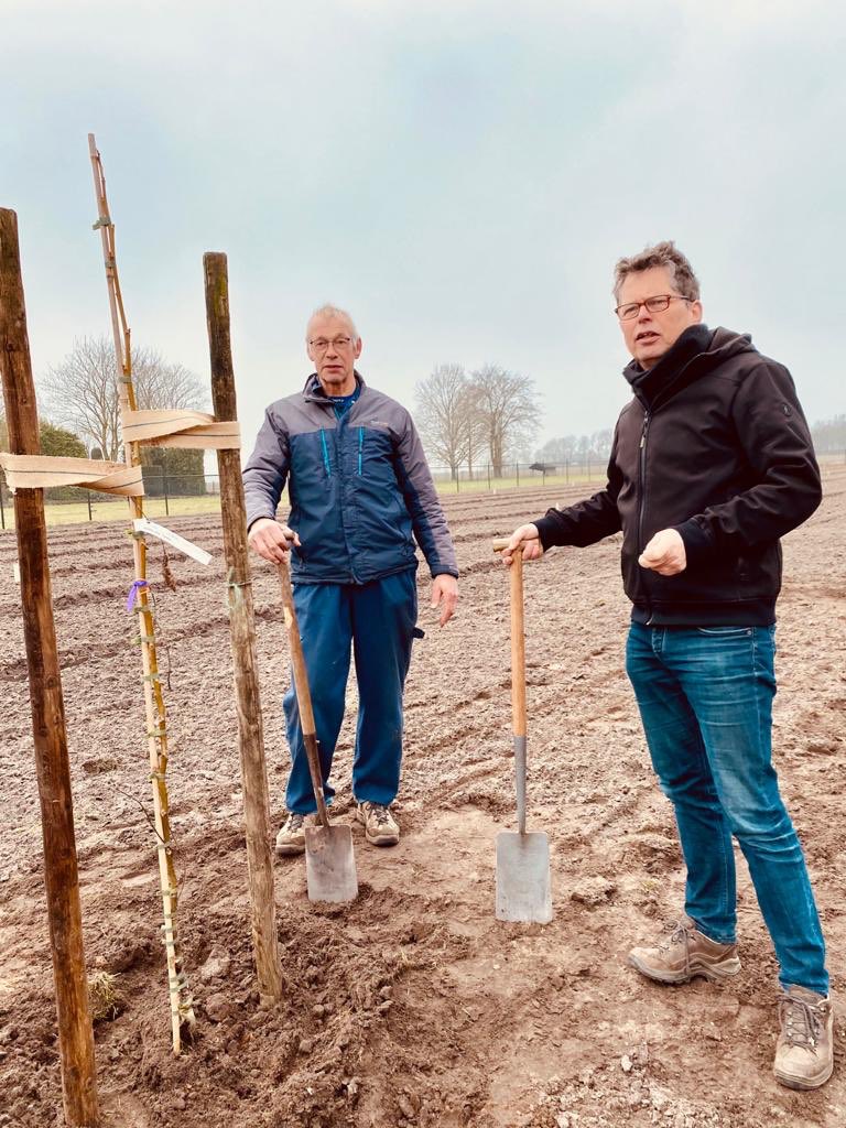 Samen met Ben Dirx in Bergeijk vandaag de eerste #agroforestry bomen geplant in kader klimaatcompensatie waterschap @wddommel. Ben gaat van dierlijke ( pluimvee) naar plantaardige eiwit productie ( noten). Agroforestry Netwerk Brabant