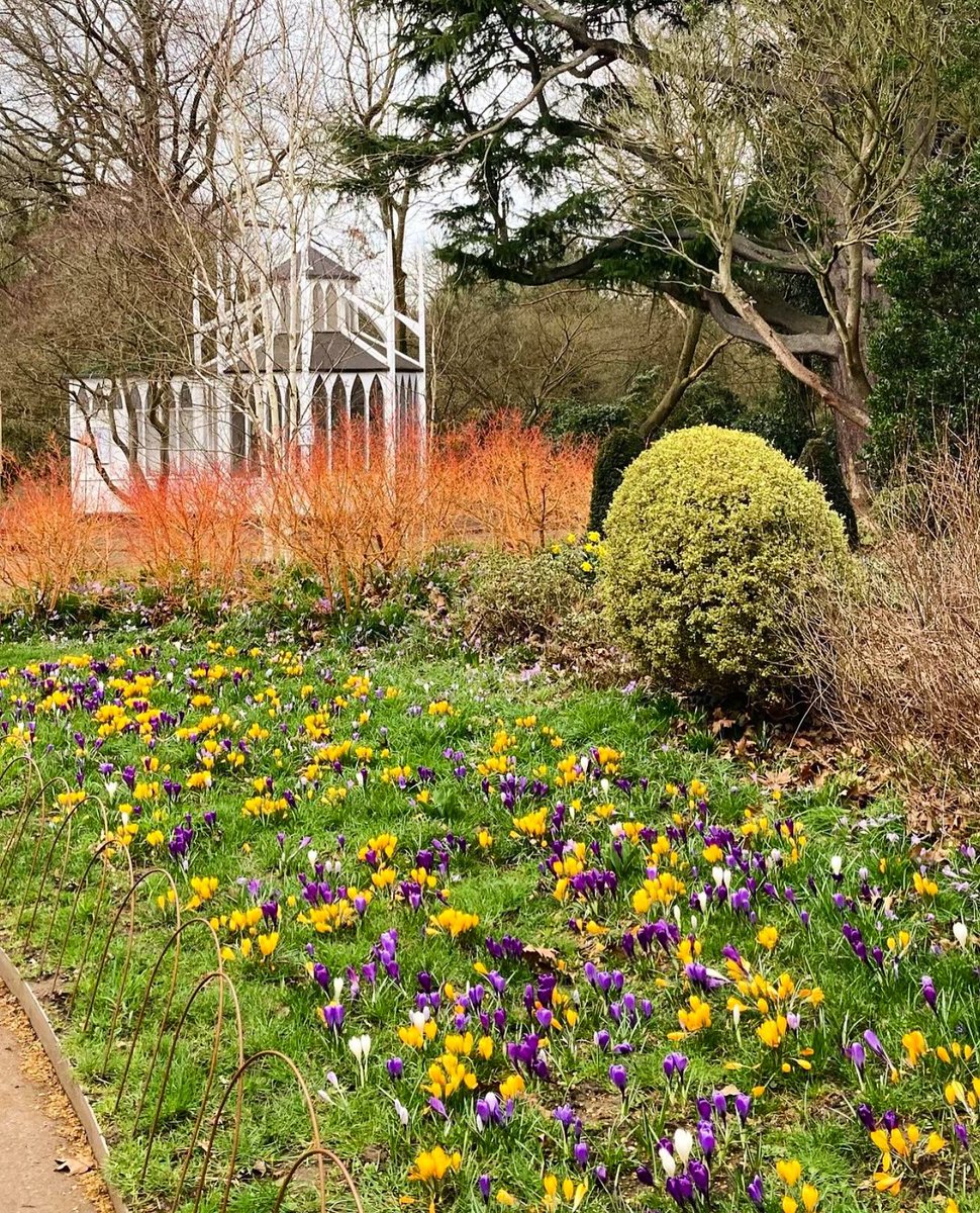 MyWimbledonApp's tweet photo. Beautiful spring colours at Cannizaro Park 🌼🌸☀️ 

📷: https://t.co/7kYDKUrLQ6

#Wimbledon #LoveLocal https://t.co/af3keyqyS3