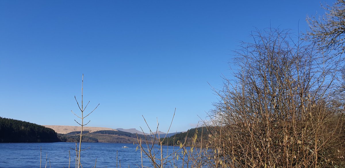 yoadrian100's tweet photo. Beautiful day for a 31k 460m climbing mtb ride in stunning South wales today #lovewhereulive #Wales #getoutandride #gettingfitter #ridefromhome @BBCWales @DerekTheWeather @Ruth_ITV @BreconBeaconsNP https://t.co/P46tAgK3ei