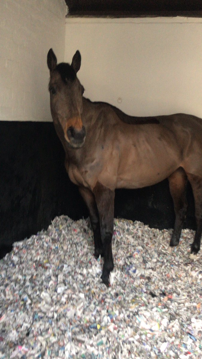 Harry R Haynes tweet media