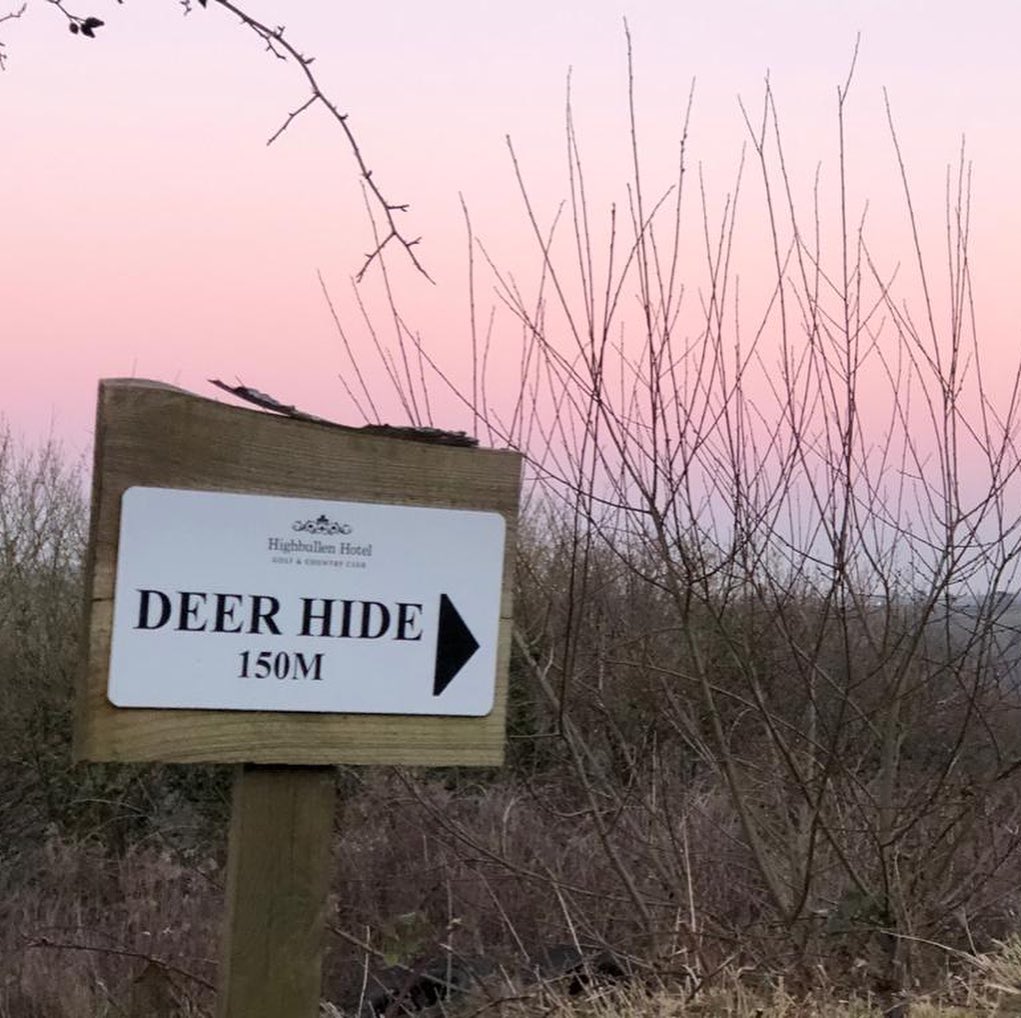 hart_pms's tweet photo. March is here and #Spring is well and truly loading at our partner properties! 🌳🦌

Take a glance at these wonderful snaps from beautiful @Highbullen Hotel in #Devon, you might spot a deer-ing attempt at modelling.

HART has been working with Highbullen for 7 fantastic years. https://t.co/ZYPEbe3kJV