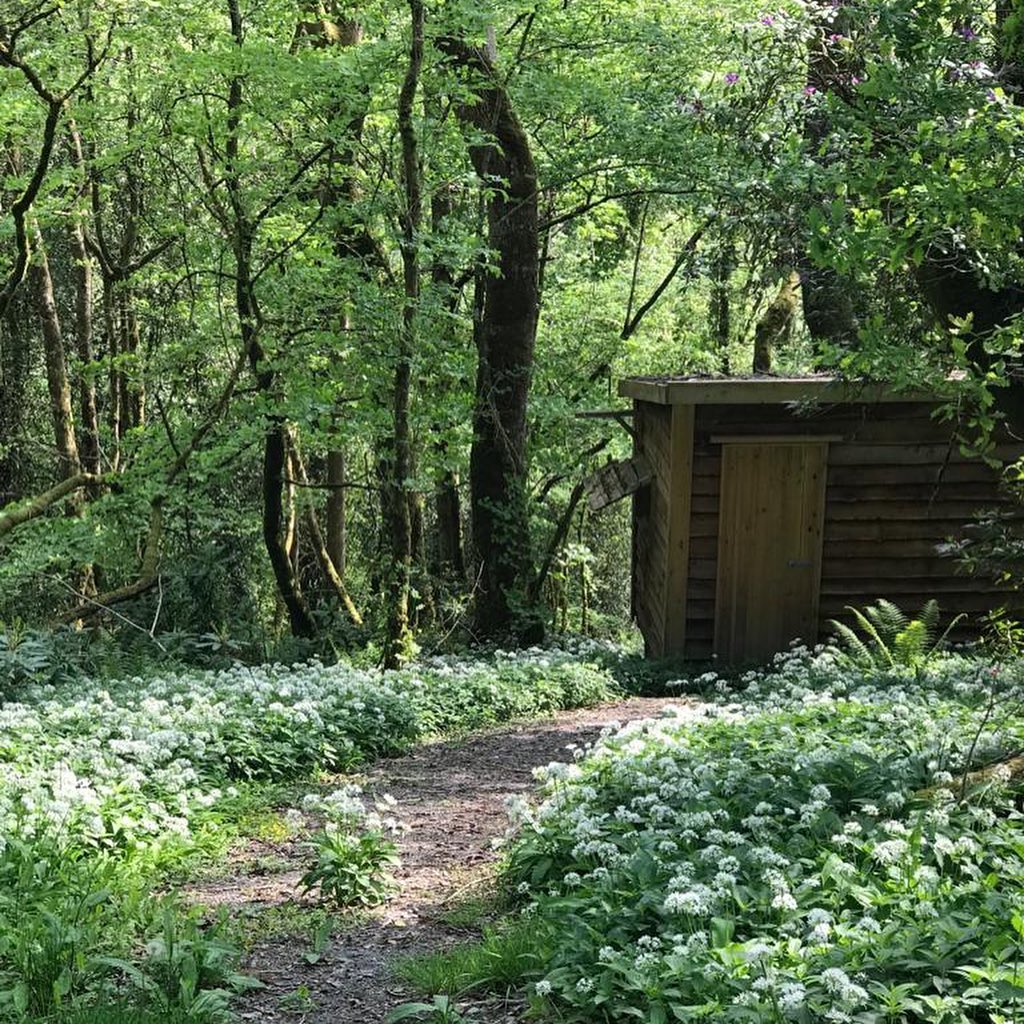 hart_pms's tweet photo. March is here and #Spring is well and truly loading at our partner properties! 🌳🦌

Take a glance at these wonderful snaps from beautiful @Highbullen Hotel in #Devon, you might spot a deer-ing attempt at modelling.

HART has been working with Highbullen for 7 fantastic years. https://t.co/ZYPEbe3kJV