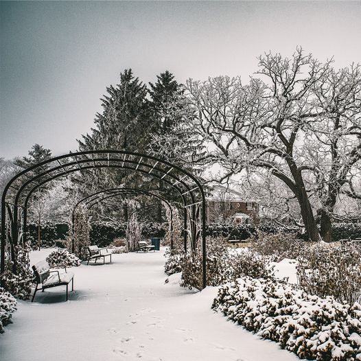 PublicGardens's tweet photo. #SupportPublicGardens

@CantignyPark is where families wander through nature, get lost in history, play golf, enrich their senses &amp; enjoy quality time together.

Support them:  https://t.co/yndNIj0AjP

#GrdenOfTheDay #GoPublicGardens #PublicGardens2021 #winter https://t.co/9ImXKyNLyS