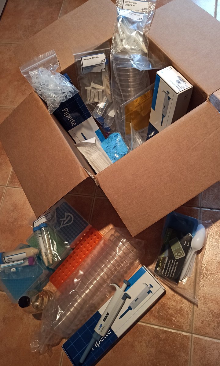 JuanNunezEngBio's tweet photo. Feeling ready for some remote science. Can we teach and learn wet lab skills remotely? #HomeLab #bioengineering #GeneticEngineering #biohacking #CRISPR #DIY #ScienceMustGoOn #RemoteTeaching #RemoteWork https://t.co/gnkpRBHBXc