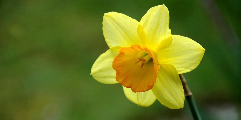 Emma McIntyre tweet media