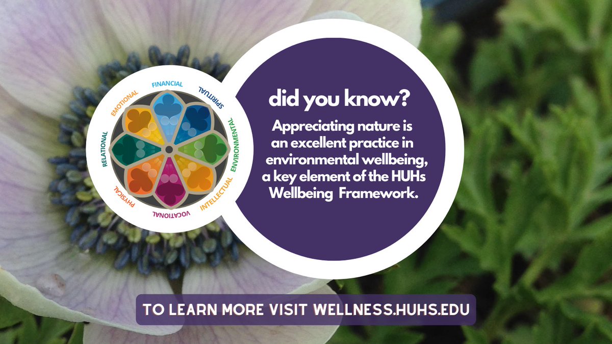 HarCommonSpaces's tweet image. Join us today at the Richard A. and Susan F. Smith Campus Center from 10:00am-8:00pm as we celebrate Harvard's first  Wellness Day of the semester with a flower giveaway! #MySCC