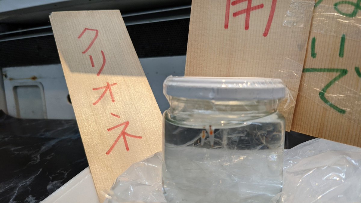 いつものスーパーにクリオネおった