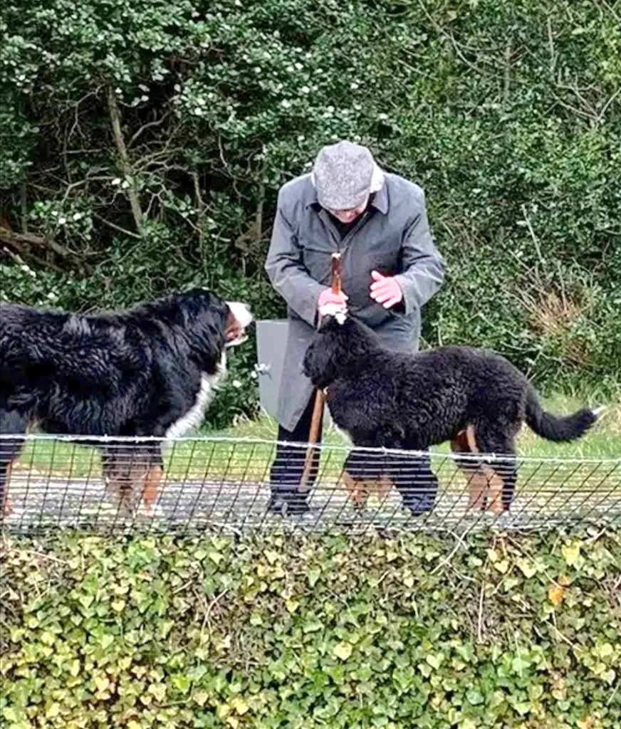 Paul Dunphy Esquire. 🏳️🌈 tweet media