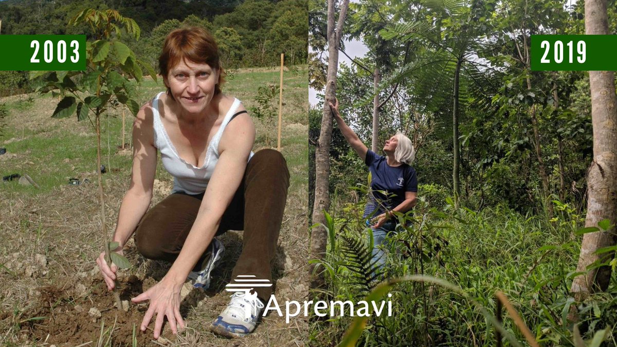Apremavi's tweet photo. Para começar a semana com o coração quentinho: olha só esse #antesedepois! 🌱🌳
Plantamos árvores nativas para restauração de áreas degradadas e combater a #criseclimática. Vamos junt@s?
#MataAtlântica #beforeandafter #restauração #apremavi https://t.co/e8LXeiMaoa