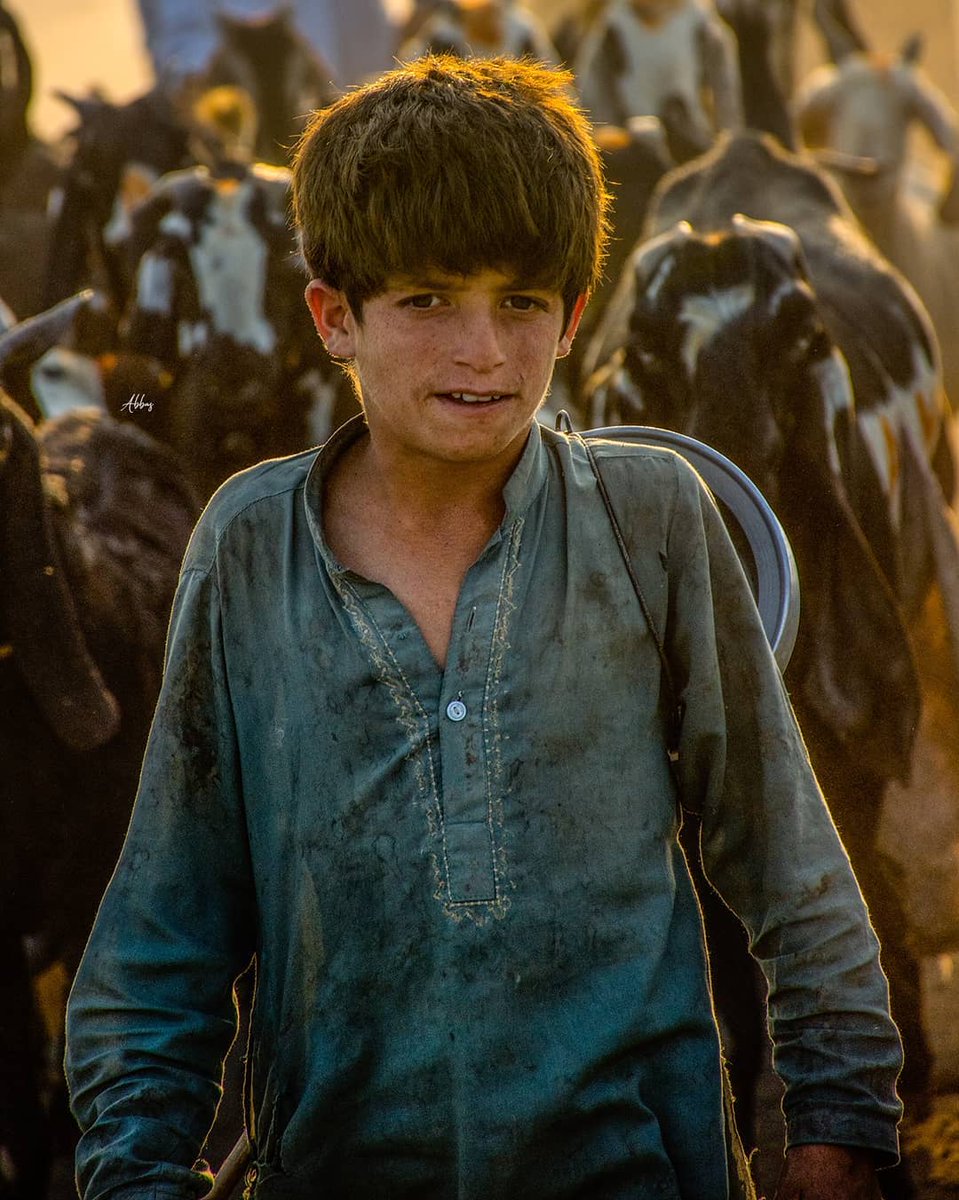 LandofPakistan's tweet photo. Untold Stories of Pakistan 🇵🇰 

Shepherds of Pakistan 

©️ Muhammad Abbas https://t.co/dMz6Qwg1Sc