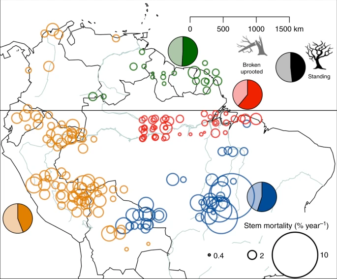 ForestPlots tweet media