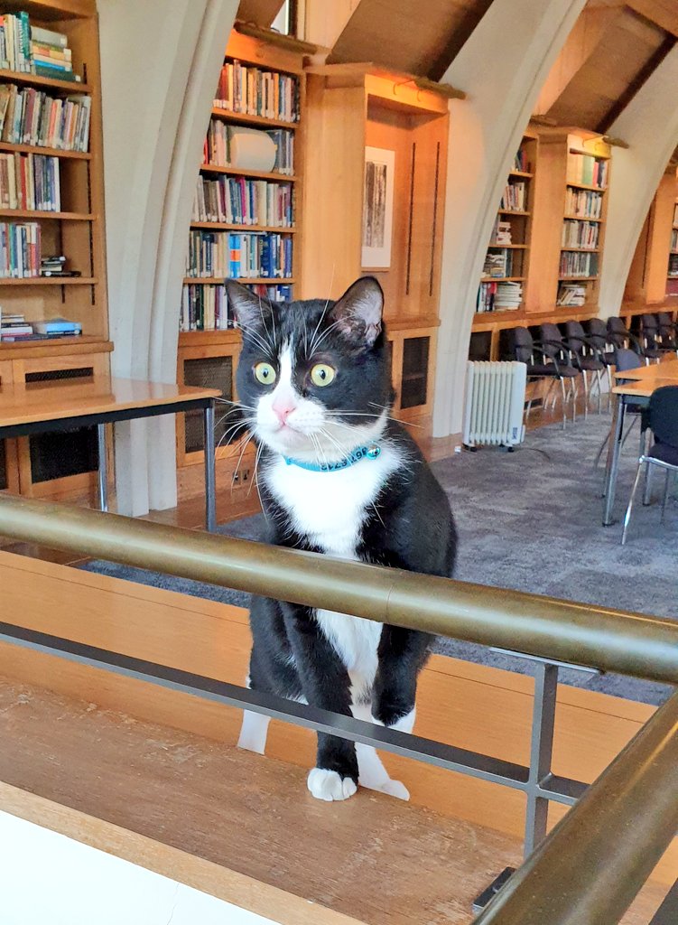 HodgeTheCat's tweet image. First time in the Cathedral library today. Lovely space with lots of books, beautiful artwork and soft furnishings. It overlooks the River Thames. I saw a fish 😸