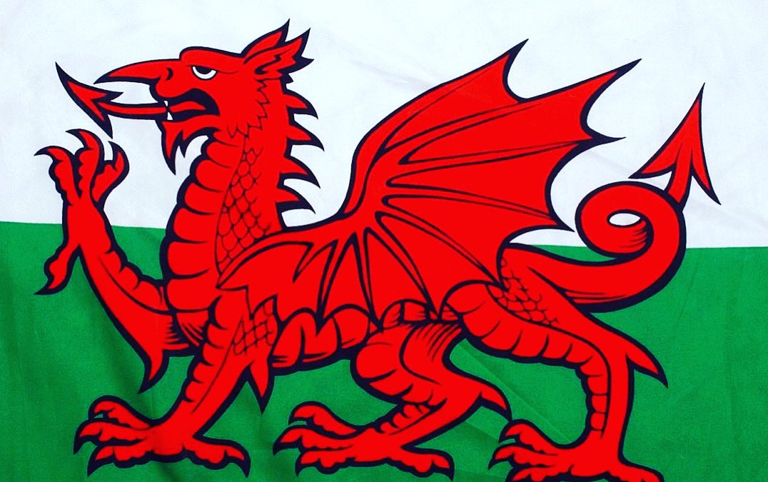 JetFunding's tweet photo. Dydd Gŵyl Dewi Hapus / Happy St David’s Day all #march1st https://t.co/Yt1aEzmnV4
