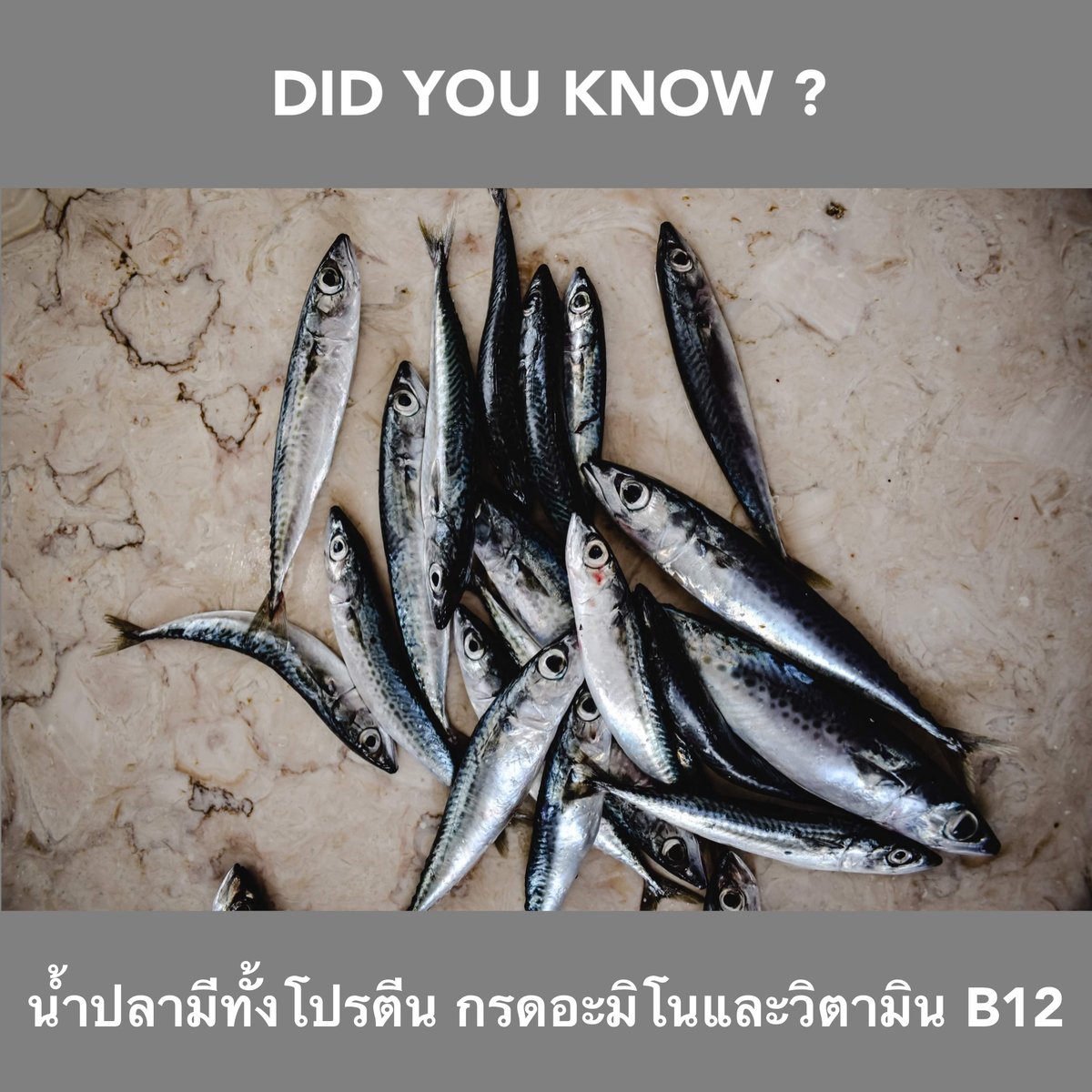 ChangwonExpress's tweet photo. รู้หรือไม่ ?

น้ำปลาไม่ได้ทำได้เพียงปรุงรสหรือมีแต่ความเค็มเท่านั้น แต่ยังมีสารอาหารอย่างโปรตีน กรดอะมิโนและวิตามิน B12 อีกด้วย

กิมจิชางวอนมีส่วนผสมของน้ำปลาแท้อย่างดี สั่งเลย >> https://t.co/Gn6iIYl2L2

#Kimchi #delivery #Changwon #ChangwonExpress #อร่อยบอกต่อ #กิมจิ https://t.co/berGt1xYMx