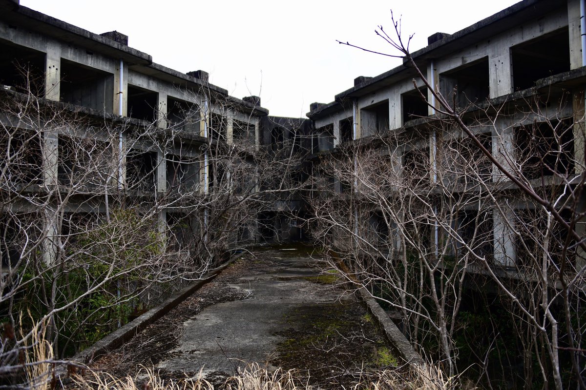 ブラックビル 見て来ました😎 #廃墟 #和歌山県 #廃墟好き