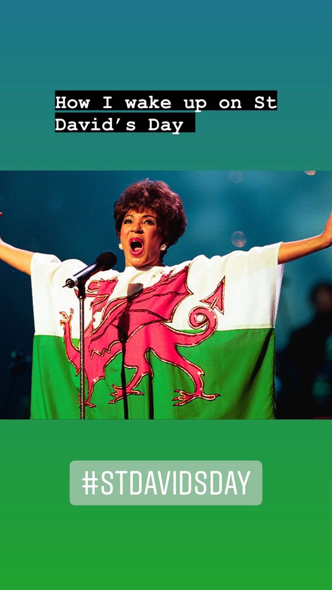 Welsh pride just kinda bursts out of me. Dydd Gŵyl Dewi Hapus 🏴󠁧󠁢󠁷󠁬󠁳󠁿 Unleash your inner Shirley Bassey. #StDavidsDay #DyddGwylDewiHapus #ShirleyBassey #WelshPassion