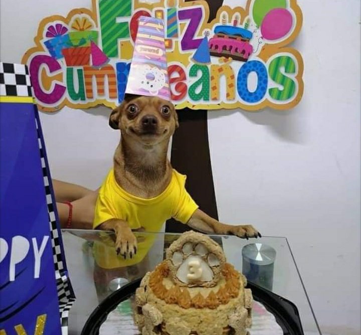 te quiero perrito emocionado en su cumpleaños 🥺