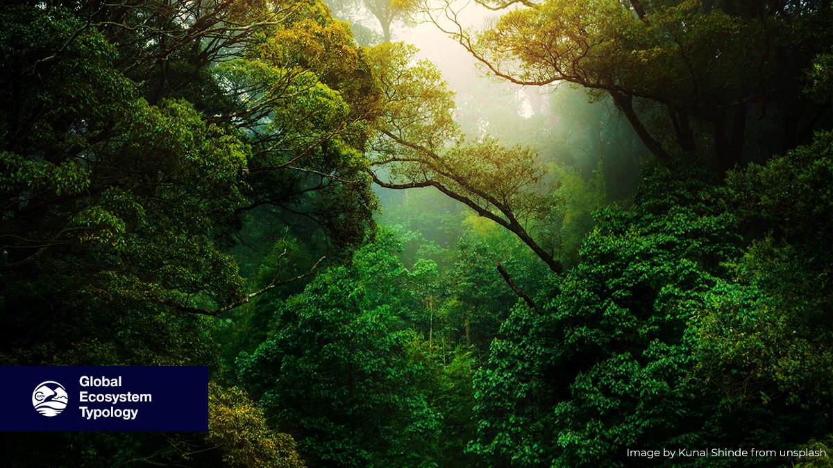 It's taken a long time and a huge amount of effort, but the First-ever global catalogue of ecosystems has just been published <a href="/redlisteco/">Red List of Ecosystems</a> and will enable coordinated global conservation efforts. global-ecosystems.org portals.iucn.org/library/node/4… iucn.org/news/commissio…
